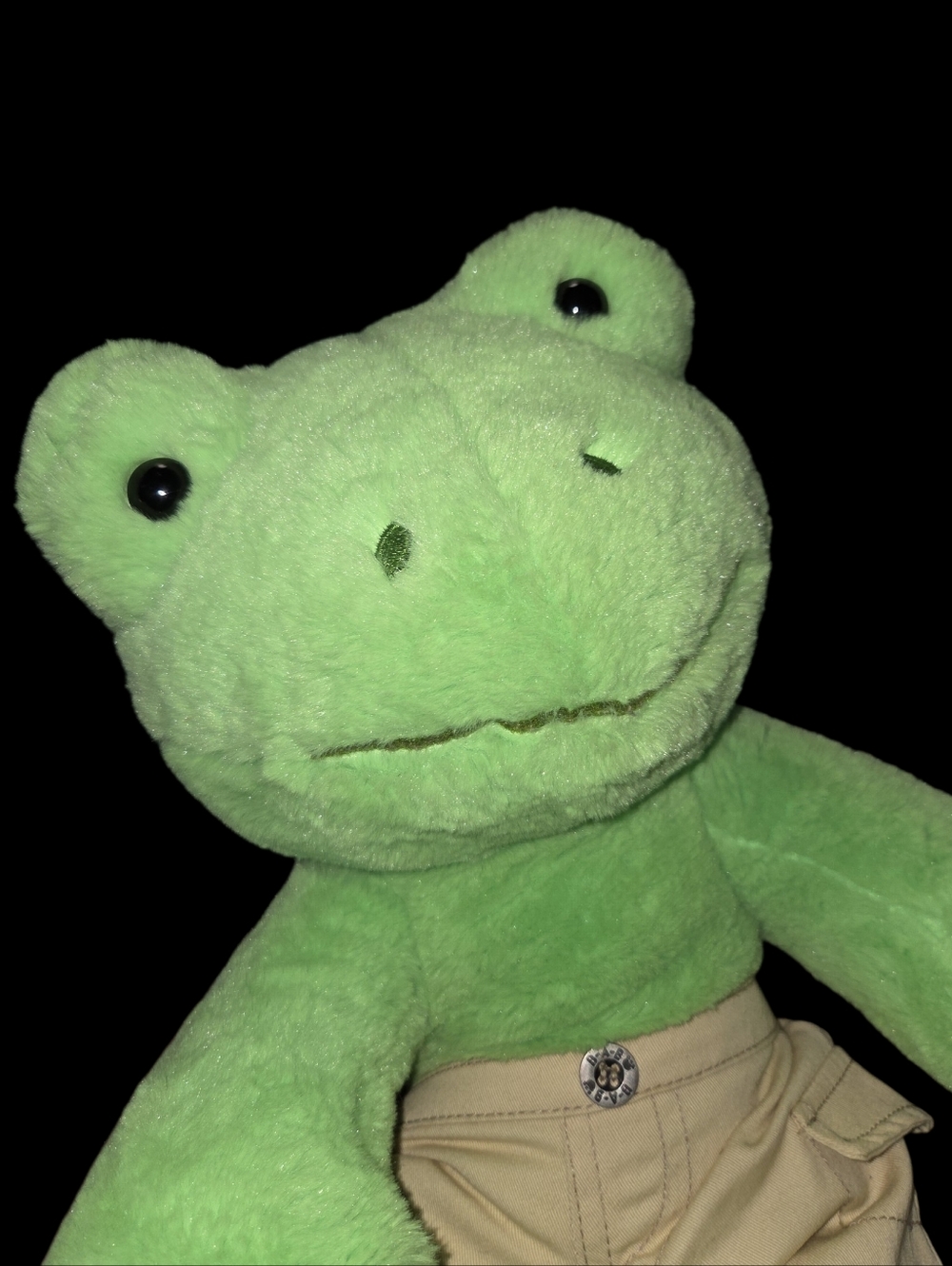 Build-A-Bear Frog - Picture 3 of 5